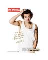One Direction for Universal Posters.  - one-direction photo