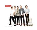 One Direction for Universal Posters.  - one-direction photo