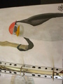 Pirate Kowalski - penguins-of-madagascar fan art