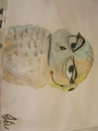 PoM Movie Owl - penguins-of-madagascar fan art