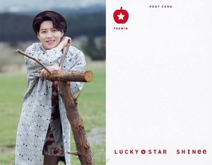  SHINee Japanese Album Lucky stella, star foto Card