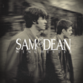 Sam and Dean                  - supernatural fan art