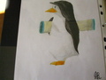 Same OC but now, doing His Job - penguins-of-madagascar fan art
