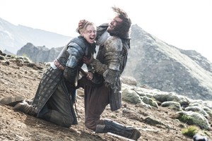  Sandor Clegane and Brienne of Tarth