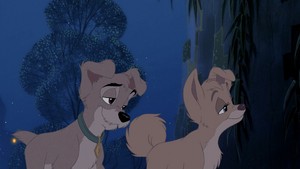  Scamp and Angel from Lady and the Tramp 2<3