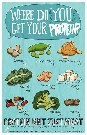  Where do आप get your protein?