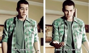  Young stiles....