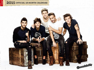  one direction official calendar 2015