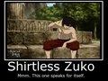 shirtless zuko - zuko photo