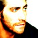         Jake Gyllenhaal - jake-gyllenhaal icon