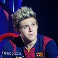              Niall - one-direction photo