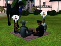 Conceited picnic guests - the-sims-3 photo