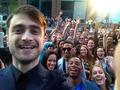 Daniel Radcliffe- The F Word Toronto Premiere - daniel-radcliffe photo