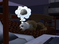Dreaming of a rock - the-sims-3 photo