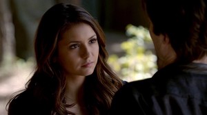 Elena and Damon 