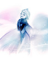 Elsa       - disney-princess photo