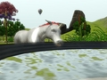 Epic Water Trough - the-sims-3 photo