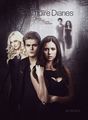 Fan-made Season 6 Poster  - the-vampire-diaries-tv-show fan art
