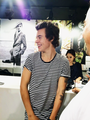 Harry                     - one-direction photo