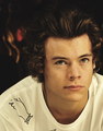 Harry             - one-direction photo