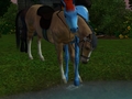 Horsey Hugs - the-sims-3 photo