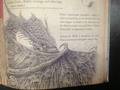 Jake Long's Species - american-dragon-jake-long photo