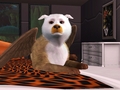 Laying smugly on the bed - the-sims-3 photo