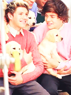 Narry                 