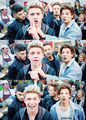 Nouis                 - one-direction photo