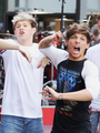 Nouis             - one-direction photo