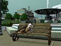 Relaxing day at the park - the-sims-3 photo