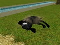 Rolling around in the grass - the-sims-3 photo