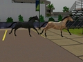 Running through the parking lot - the-sims-3 photo