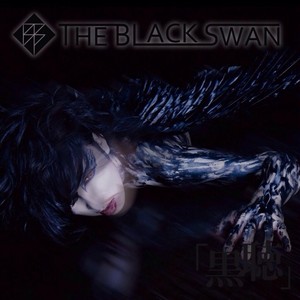  The Black angsa, swan