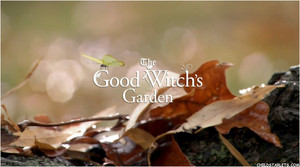  The Good Witch`s Garden