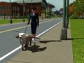 Time for walkies! - the-sims-3 photo