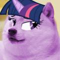 Twilight Sparkle Doge - my-little-pony-friendship-is-magic photo