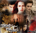 Vampires and Wolves - twilight-series fan art