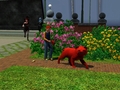 Walk in the park - the-sims-3 photo