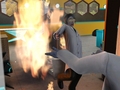 Whoops TV burst into flames - the-sims-3 photo