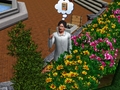 Wow I wish there was a bookcase in this flowerbed - the-sims-3 photo