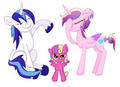 lol shining armor called her  cool - my-little-pony-friendship-is-magic photo