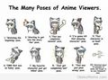 many poses of anime viewers - anime photo