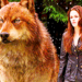                     Bella Cullen - twilight-series icon