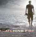    Catching Fire - the-hunger-games photo