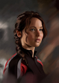                Hunger Games - the-hunger-games photo