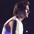                                   Louis - one-direction photo