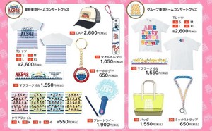 AKB48 Tokyo Dome Concert Goods