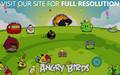 Angry Birds Seasons - angry-birds photo