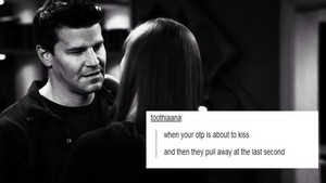 Booth and Bones | Tumblr Text Post
